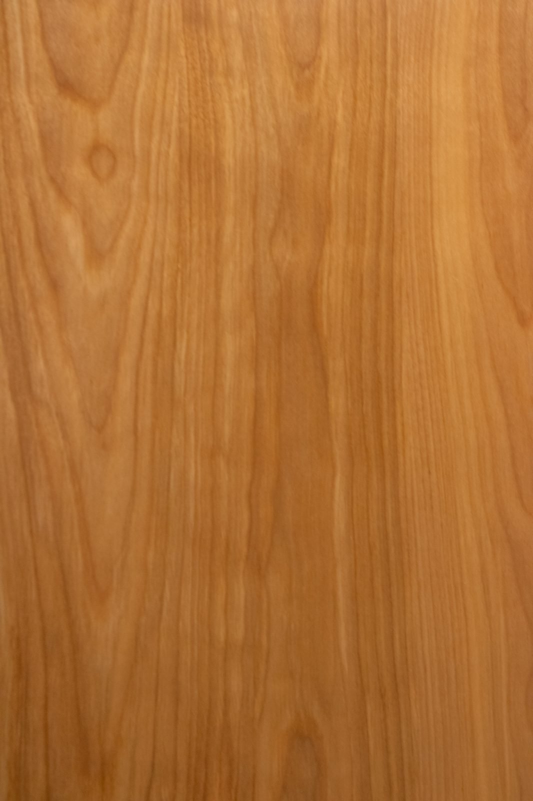 Alder