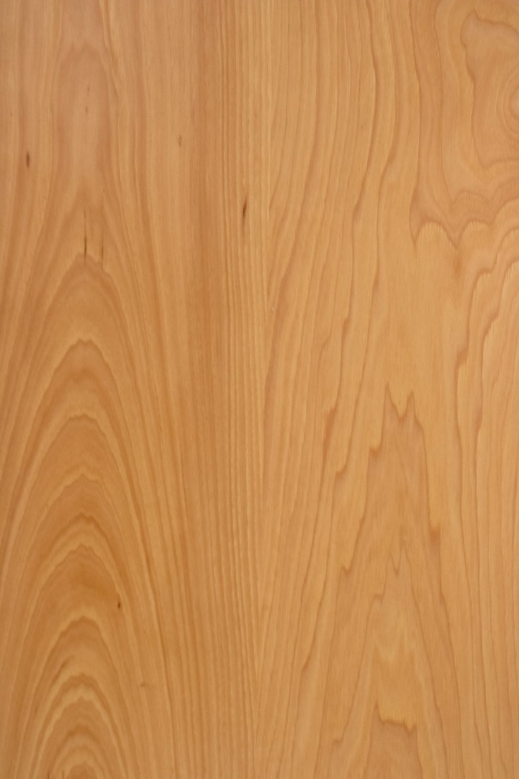 Light Hickory
