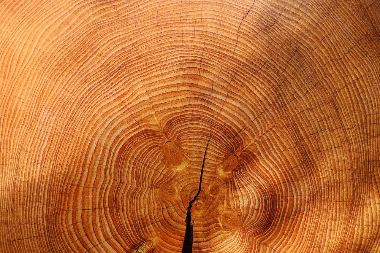 Choosing the Perfect Wood Species for Your Custom Cabinetry: A Guide to Styles and Benefits